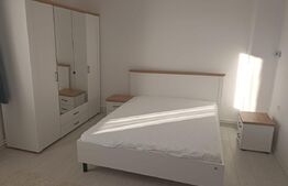 Apartament 1 camera, pregatit pentru regim hotelier, zona strazii Paris 