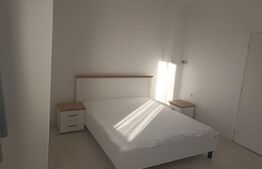 Apartament 1 camera, pregatit pentru regim hotelier, zona strazii Paris 