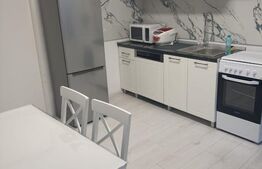 Apartament 1 camera, pregatit pentru regim hotelier, zona strazii Paris 