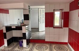 Investitie ! Casa 58 mp +mat de constructii pt renovare ,700 mp teren , SARMASU 