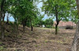 Investitie ! Casa 58 mp +mat de constructii pt renovare ,700 mp teren , SARMASU 