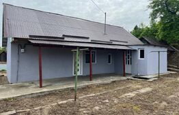 Investitie ! Casa 58 mp +mat de constructii pt renovare ,700 mp teren , SARMASU 