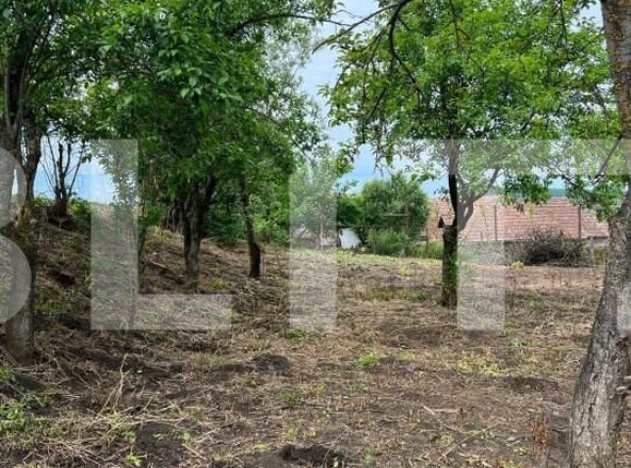 Casa de vânzare 2 camere Exterior Est - 151679CV | BLITZ Cluj-Napoca | Poza6