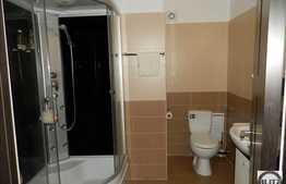 De vanzare apartament cu 2 camere, 42 mp, terasa, zona strazii Borhanciului