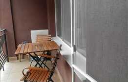 De vanzare apartament cu 2 camere, 42 mp, terasa, zona strazii Borhanciului