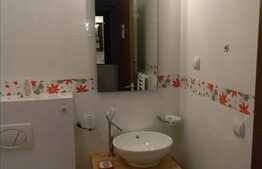 3 camere, 80 mp utili, terasa, zona strazii Buna Ziua