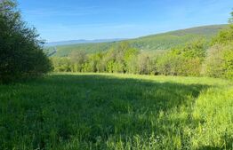 Teren intravilan, sat vechi Popesti, cu panorama spre vale!