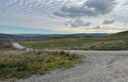 Teren intravilan 1750mp, zona Borhanci