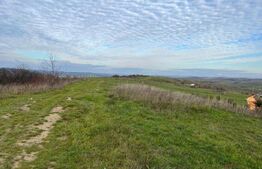 Teren intravilan 1750mp, zona Borhanci