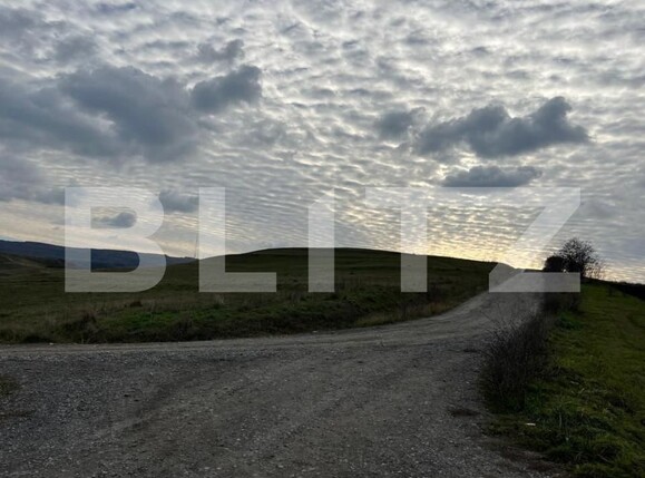 Teren de vânzare Borhanci - 151769TV | BLITZ Cluj-Napoca | Poza6