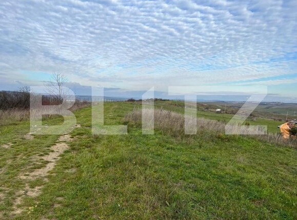 Teren de vânzare Borhanci - 151769TV | BLITZ Cluj-Napoca | Poza2