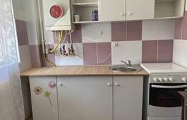 Apartament cu 1 camera, 40 mp, parcare, zona strazii Constantin Brancusi