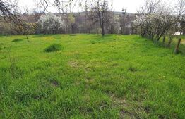 Teren intravilan 1800 mp, Salicea