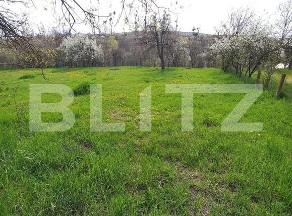 Teren de vânzare Salicea - 151776TV | BLITZ Cluj-Napoca | Poza1