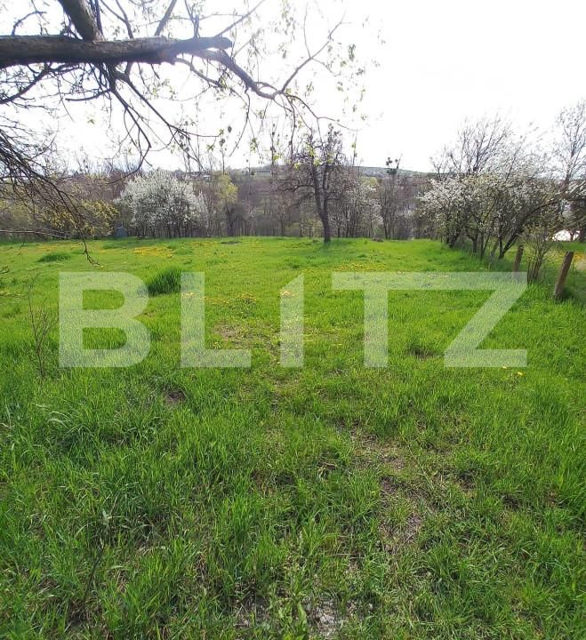 Teren de vânzare Salicea - 151776TV | BLITZ Cluj-Napoca | Poza1