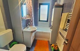 Apartament 3 camere, mobilat, garaj individual, zona Teilor 