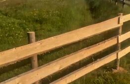 Teren extravilan, 780mp, Maguri Racatau