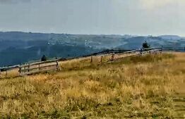 Teren extravilan, 780mp, Maguri Racatau