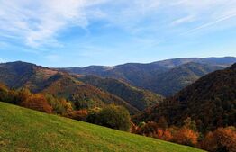 Teren extravilan, 780mp, Maguri Racatau