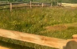 Teren extravilan, 780mp, Maguri Racatau