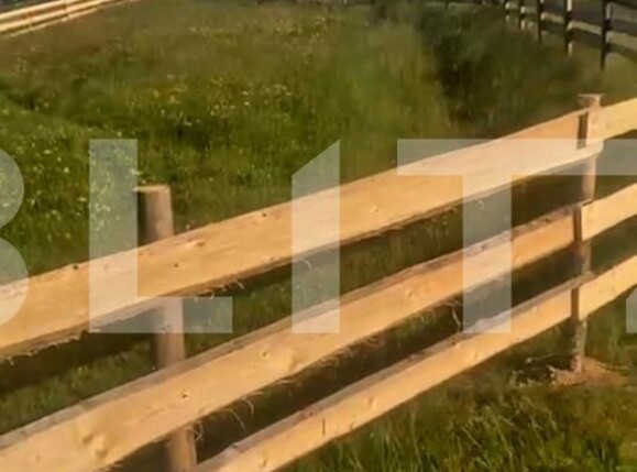 Teren de vânzare Maguri - 151907TV | BLITZ Cluj-Napoca | Poza3