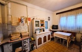 Casa renovabila, teren 4340 mp, Tureni