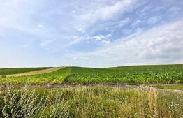 PONT! 8700mp teren, extravilan, 45ml front stradal, CF, Tureni