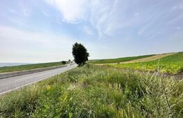 PONT! 8700mp teren, extravilan, 45ml front stradal, CF, Tureni