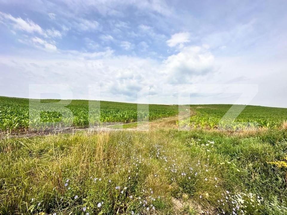 Teren de vânzare Tureni - 151923TV | BLITZ Cluj-Napoca | Poza3