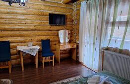 Investiție Sigură În Moieciu: Pensiune Modernă cu Sistem Hotelier Integrat