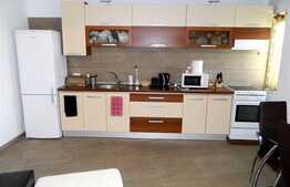 De inchiriat 2 camere, 65 mp, imobil nou, zona Plopilor VEST!