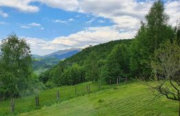 Casa de vacanță, pretabilă pentru pensiune în Moieciu