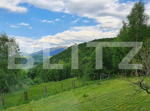 Casa de vânzare 5 camere Moieciu de jos - 151985CV | BLITZ Brașov | Poza2