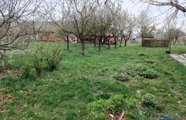 Casa 6 camere cu teren generos de vanzare in Tureni !!! 