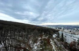 Garsoniera, 28mp, zona strazii Parang