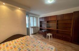 Garsoniera, 28mp, zona strazii Parang