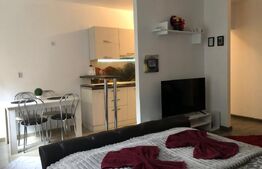 Garsoniera cu gradina intr-o zona pitoreasca din cartierul Schei!