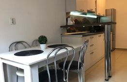 Garsoniera cu gradina intr-o zona pitoreasca din cartierul Schei!