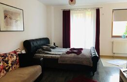 Garsoniera cu gradina intr-o zona pitoreasca din cartierul Schei!