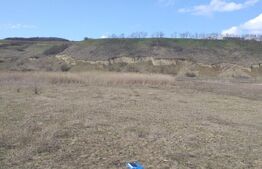 Investitie ! Teren intravilan 9605 mp , centura Cluj Apahida ! 