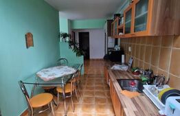 Apartament 2 camere, 56 mp, Zona Florilor 1