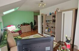 Apartament 2 camere, 56 mp, Zona Florilor 1