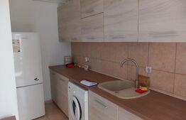 Apartament  1 camera, etaj 1, parcare, zona Eroilor