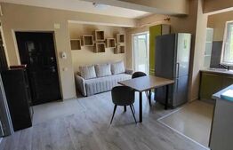 3 camere, 47 mp, parcare, 2 balcoane, zona strazii Edgar Quinet, Cat-Friendly