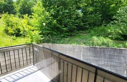 3 camere, 47 mp, parcare, 2 balcoane, zona strazii Edgar Quinet, Cat-Friendly