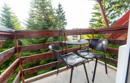 Pensiune , 490mp, zona Predeal