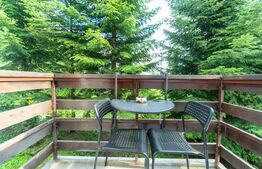 Pensiune , 490mp, zona Predeal