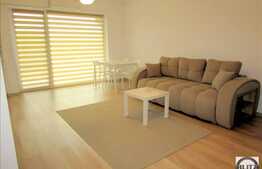 2 camere, 45 mp, totul nou, mobilat lux, parcare subterana, zona USAMV