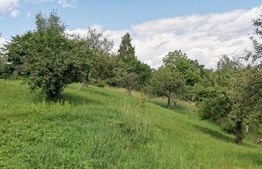 Teren 2143 mp, feleacu, intravilan, cu sura si casa demolabila