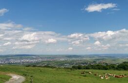 Teren 2143 mp, feleacu, intravilan, cu sura si casa demolabila